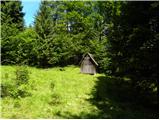 Polje - Planina Osredki